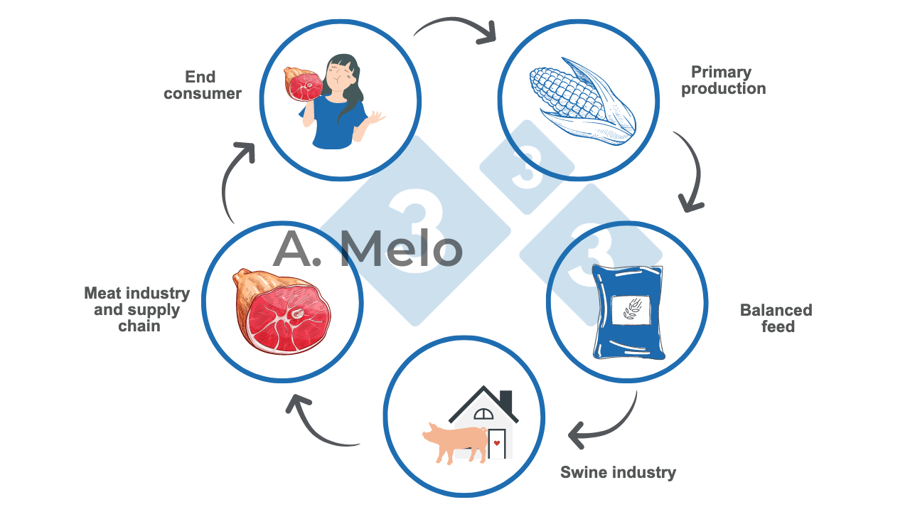 The pork chain from primary production to the end consumers table.